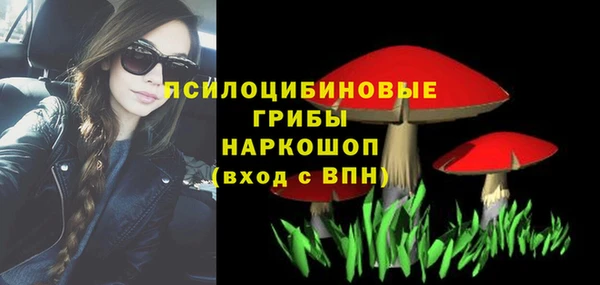метадон Арсеньев