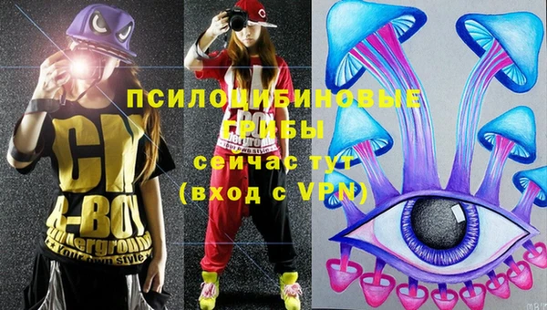 метадон Арсеньев