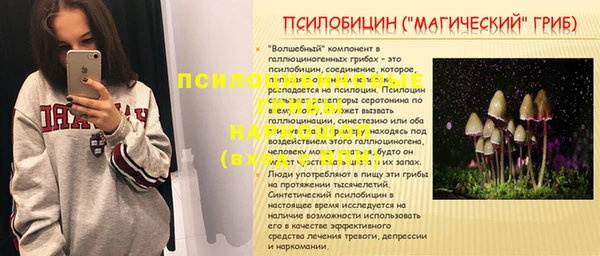 амф Аркадак