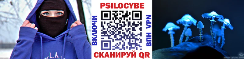 закладка  Стародуб  Псилоцибиновые грибы Cubensis 
